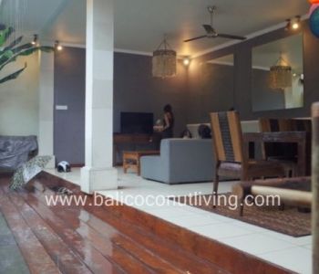 Villa Arsa