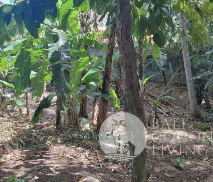 Land For Rent, 7 Are 