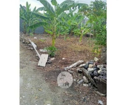 Land 300 sqm, For rent