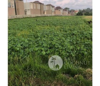32 Are, Land for lease