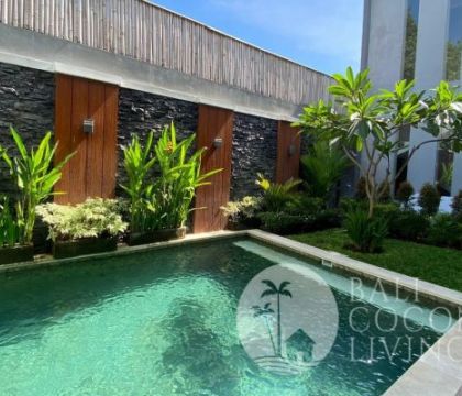 Dandelions Villa