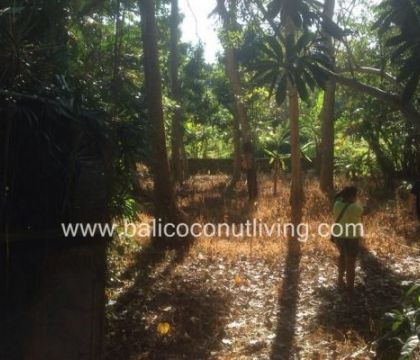 Land on Pererenan