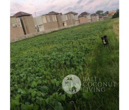 32 Are, Land for lease