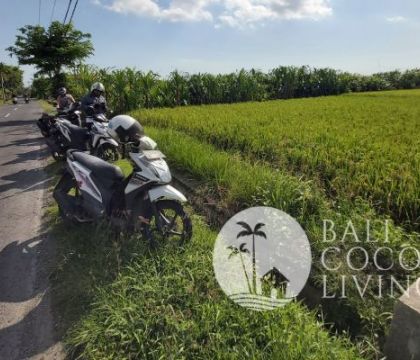 6 Are, Land for rent
