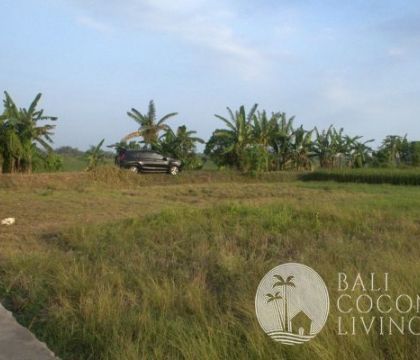 5 Are Land In Tabanan