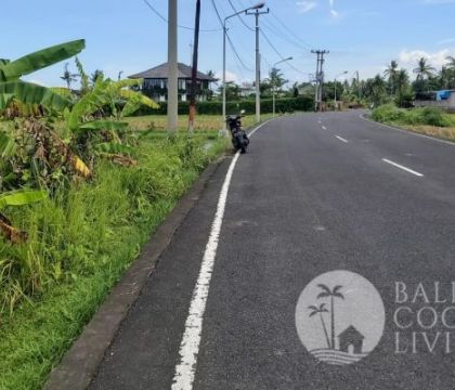 12,95 Are, Land for lease