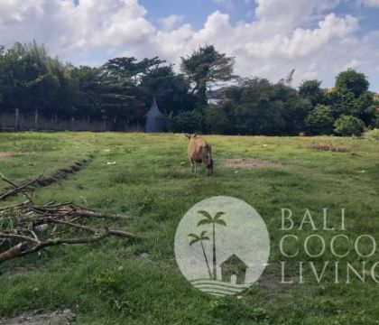 4000 Sqm, land for lease