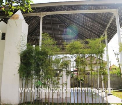 Villa Summer