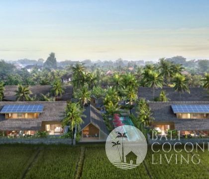 Kaba Kaba House 1