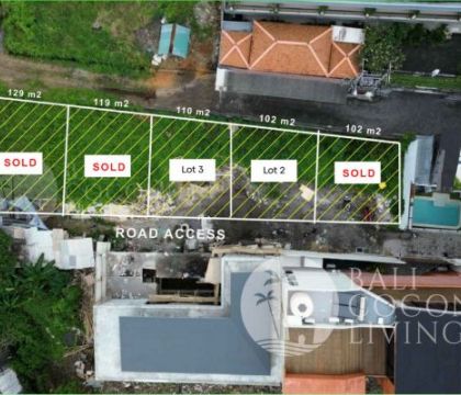 6 Plot Land For Sale in Berawa