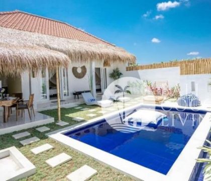 Palm Blue Villa