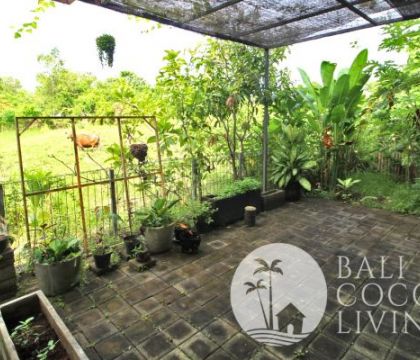 Rumah Cecilia