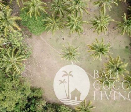 Land for sale 88 are