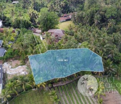 10,5 ARE LAND FOR SALE IN ABIANSEMAL- FREEHOLD