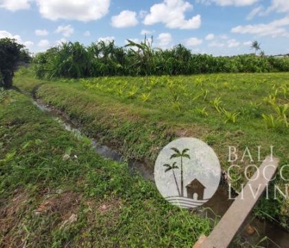 Land 4 Are for sale