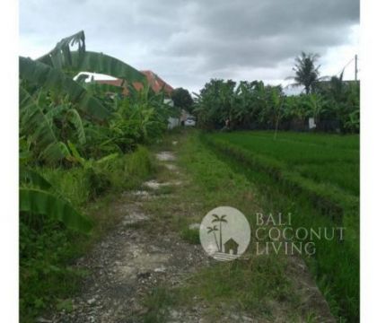 For rent,  375 Sqm Land For Rent