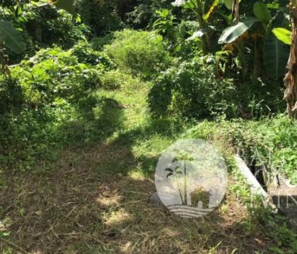 307 Sqm, Land for sale