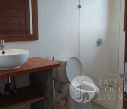 Hokkaido Apartment 4