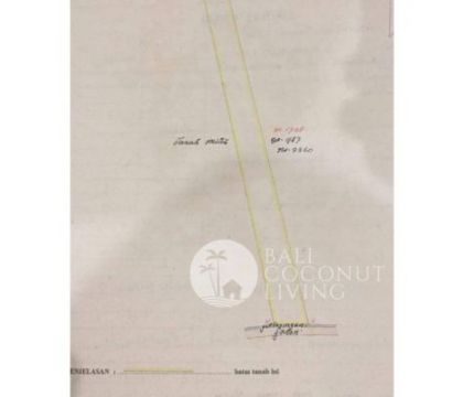 2800 Sqm land, For rent
