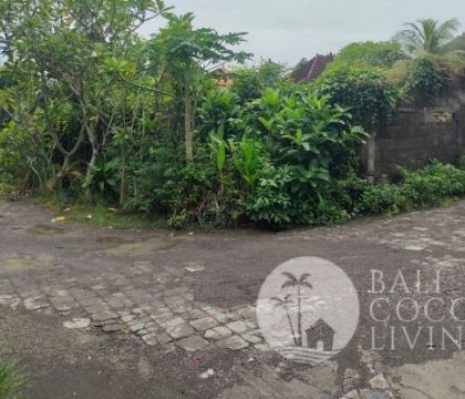 For sale, 9 are land