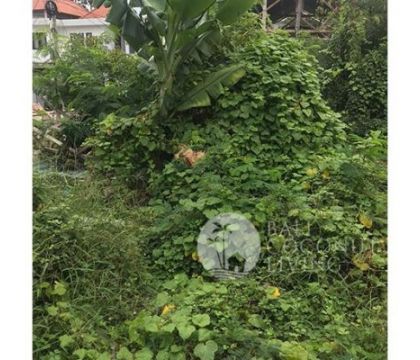 9 Are, Land for lease