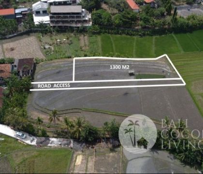 1300 Sqm for rent, Land
