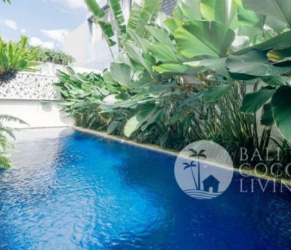 Villa Orchid 2