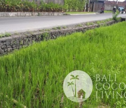 Land For Rent 28 are