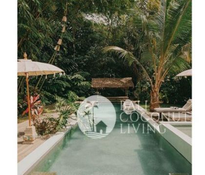 The Bamboo Villa