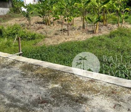6 Are land, For lease