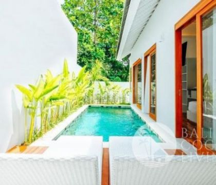 Villa Petunia
