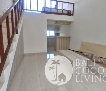 Salim Apartment