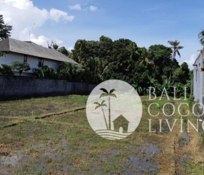 Land for lease 8 are