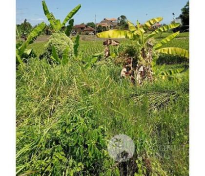 Land for sale 465 Sqm
