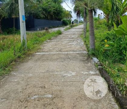 For sale, 10 Are land