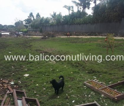 Land for Lease Umalas 18,75 sqm