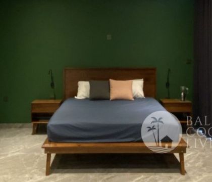 Swan Loft Apartment