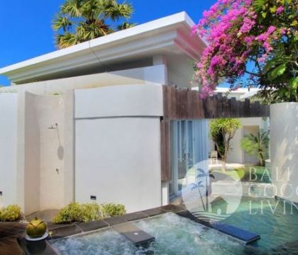 Villa Globe 1