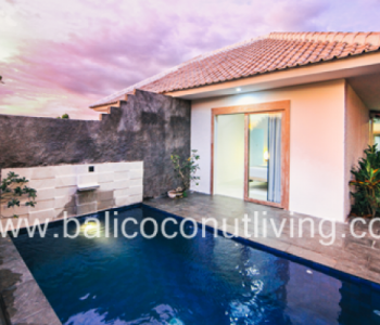 Villa Kami