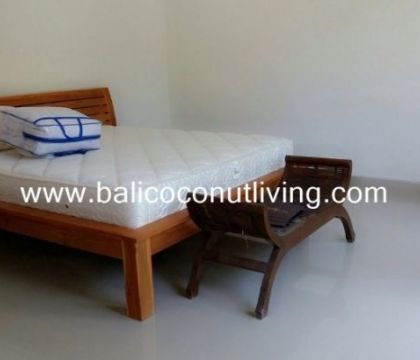The Havana Villa 