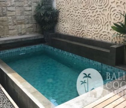 Villa Laras Ayu