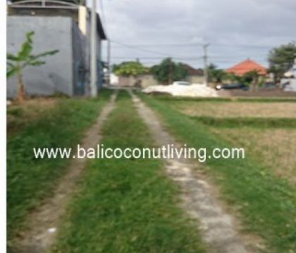 Land For Lease Berawa 2500 sqm