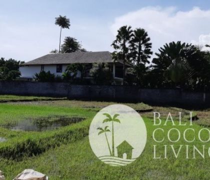Land for lease 8 are