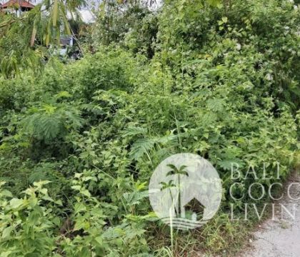 Land for lease 750 sqm