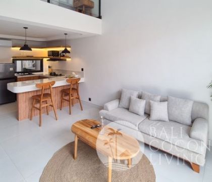 Pegasus Loft Seminyak