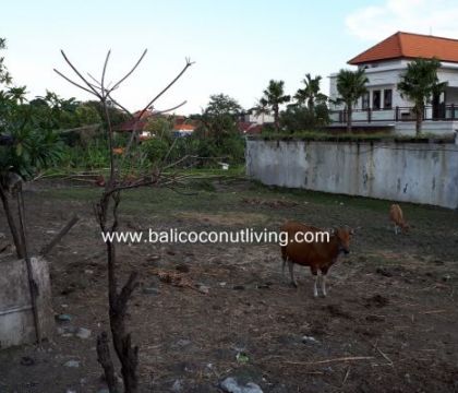 Land for sale 11 are