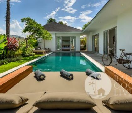 Casa Palmera 3