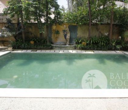 Villa dasaku