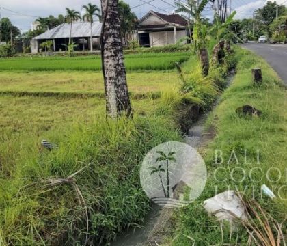 16,80 Are, Land for rent