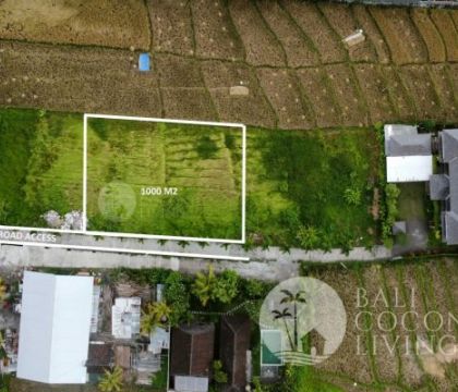 For sale, 10 Are land